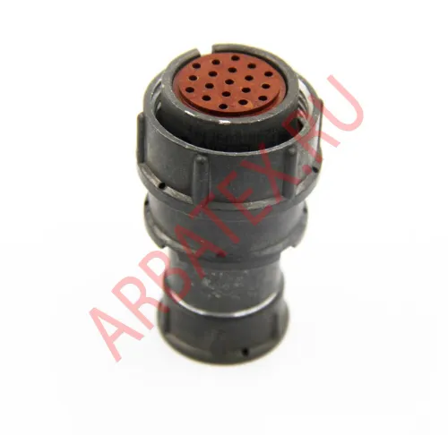 2РМ24КПЭ19Г1В1 Разъемы 2РМ, 2РМТ, 2РМГ, 2РМДТ, ОНЦ-РГ фото