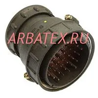 2РТ55П30ЭГ1-А вилка фото